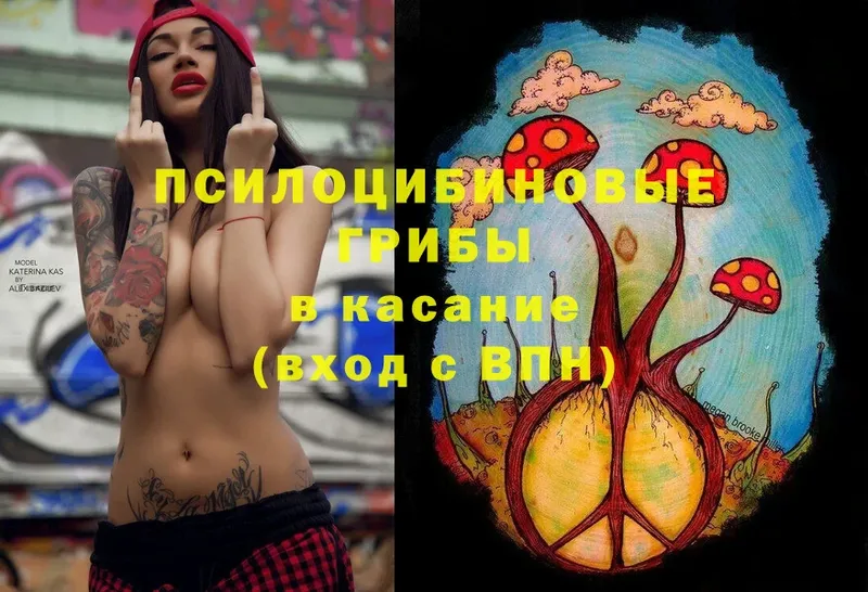 Галлюциногенные грибы Magic Shrooms  купить наркоту  Тобольск 